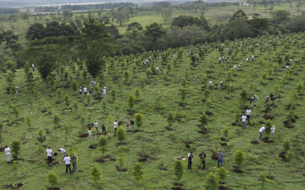 Clean Green Pakistan
